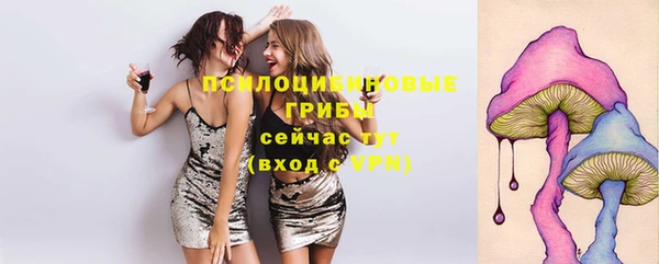 крисы Приозерск