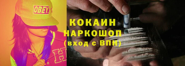 крисы Приозерск