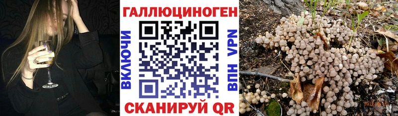Псилоцибиновые грибы прущие грибы  Алагир 